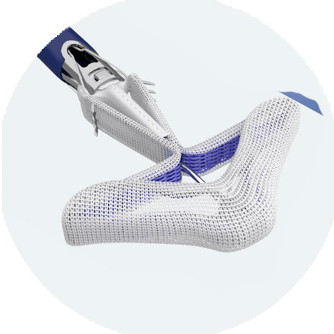 PASCALで留置する人工弁